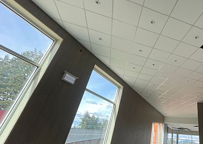 Lay-in acoustic tile running out to a daylit perimeter wall in a commercial lobby.